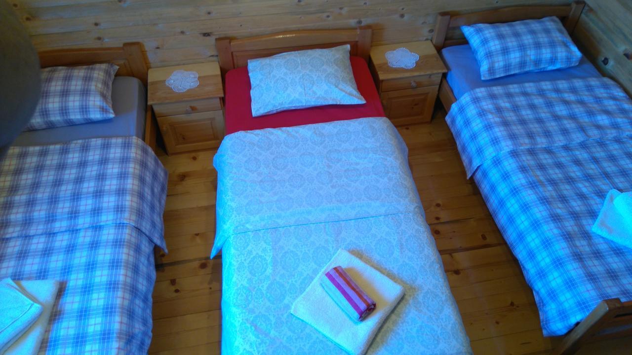 Eco House Villa Zabljak  Bagian luar foto